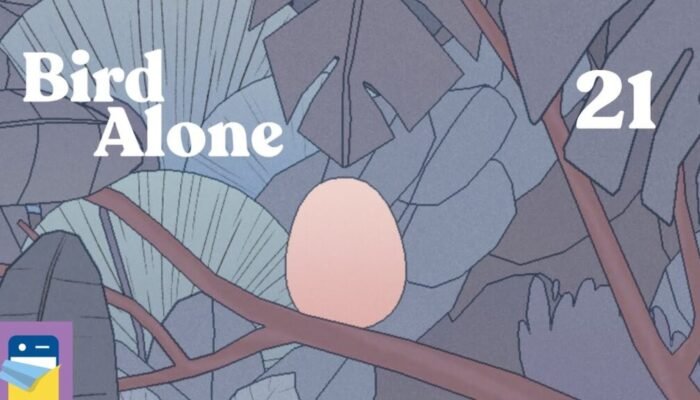 bird alone